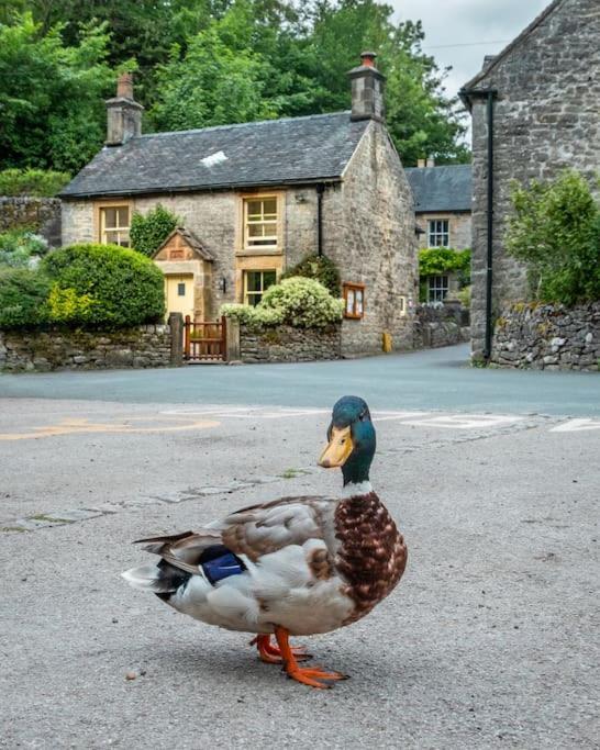 Duck Cottage Milldale Alstonefield Peak District Alstonfield Kültér fotó